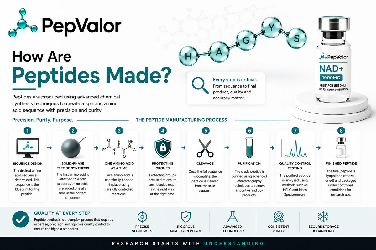 How Are Peptides Made ?
