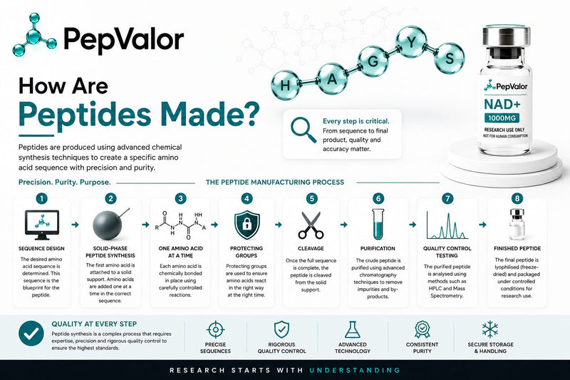 How Are Peptides Made ?