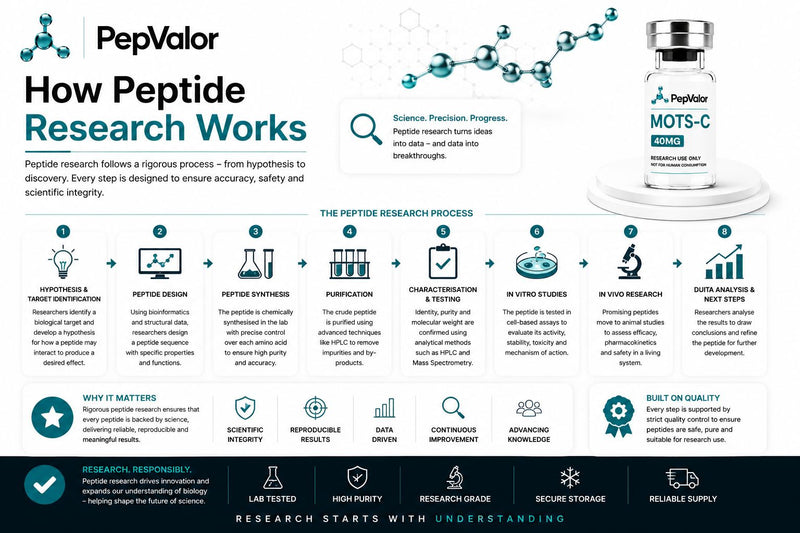 How Peptide Reasearch Works