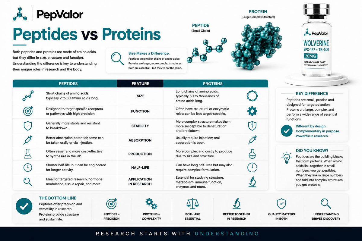 Peptides v Protein